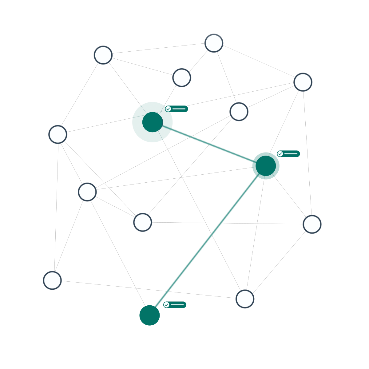 Network of connections